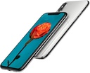 Apple iPhone X 256GB