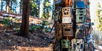 Trail Camera