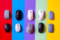 Mouse