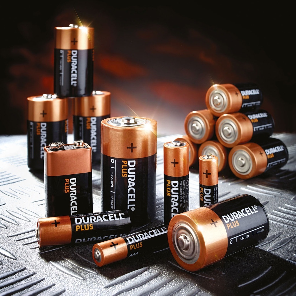 Alkaline D Batteries